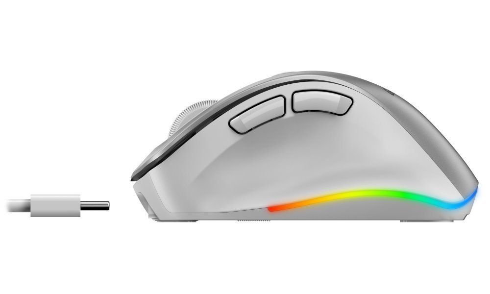 Genius Ergo 9000S Pro Wireless mouse Silver