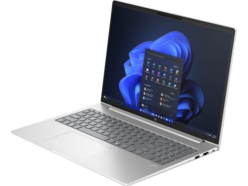 HP ProBook 460 G11 Silver