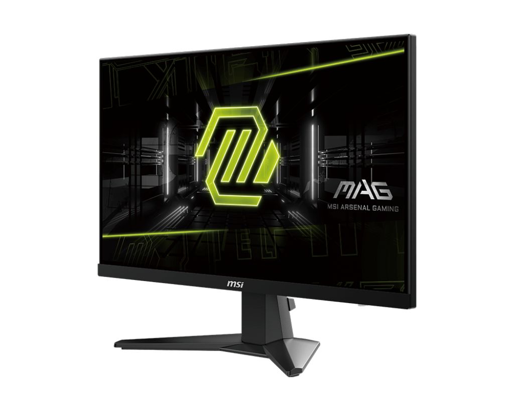 Msi 24,5" MAG 256F IPS LED