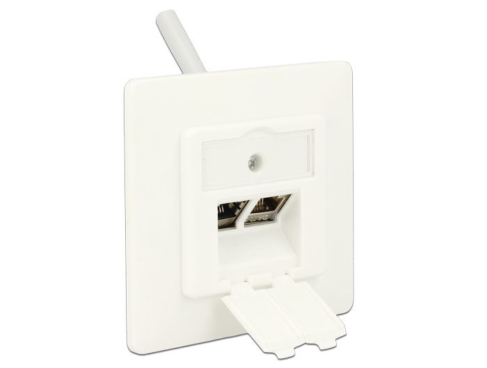 DeLock Keystone Wall Outlet 2 Port compact