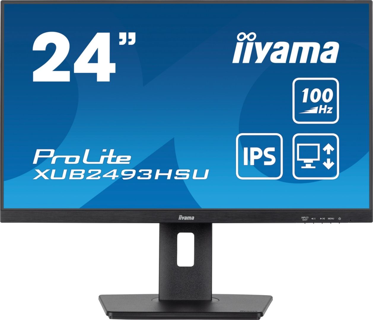 iiyama 23,8" ProLite XUB2493HSU-B7 IPS LED