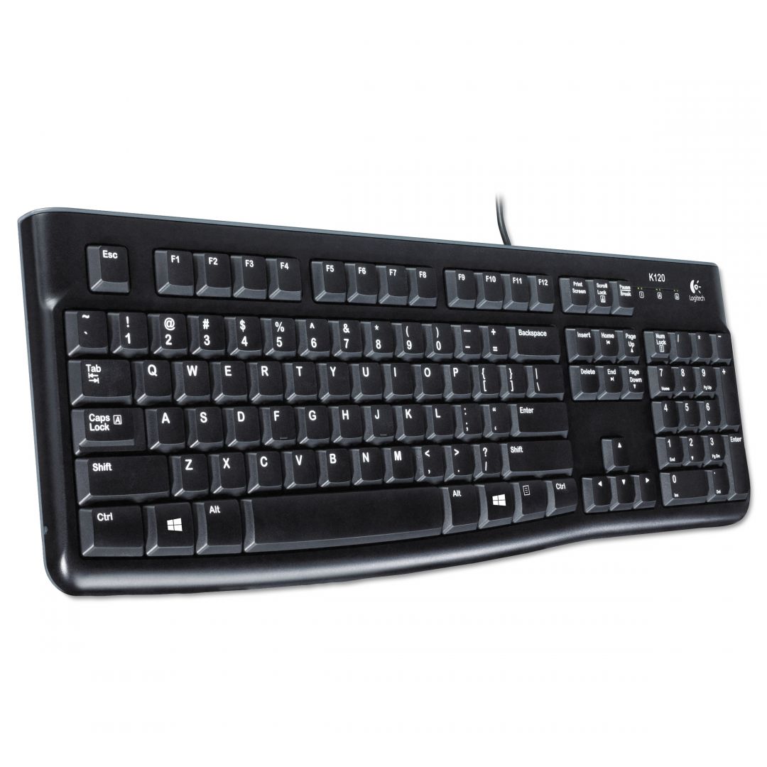 Logitech K120 keyboard Black ENG